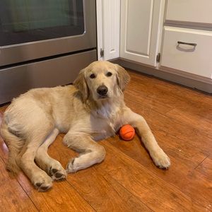 Meet your Posher, Alicia